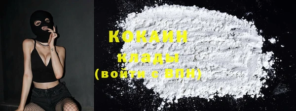 шишки Каменка